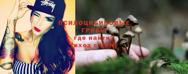 apvp Мегион