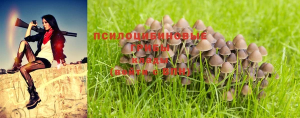 a pvp Медвежьегорск