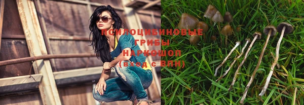 apvp Мегион