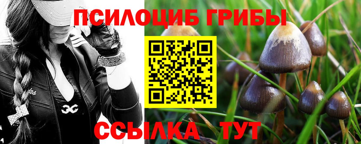 Псилоцибиновые грибы Psilocybine cubensis  Вход с VPN  Лабинск 