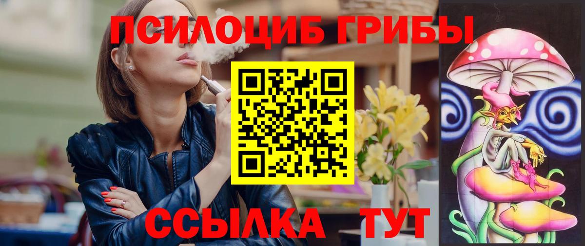 Псилоцибиновые грибы Psilocybine cubensis Лабинск
